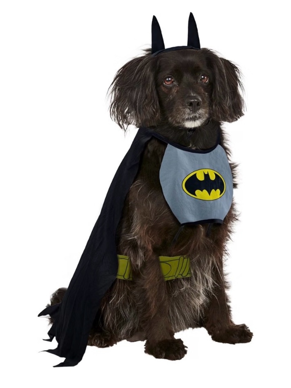 NWT - DC Comics Superheroes: Batman Pet Costume - Dog Halloween Costume Size XL